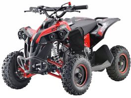 Mini Quad RENEGADE - Rot