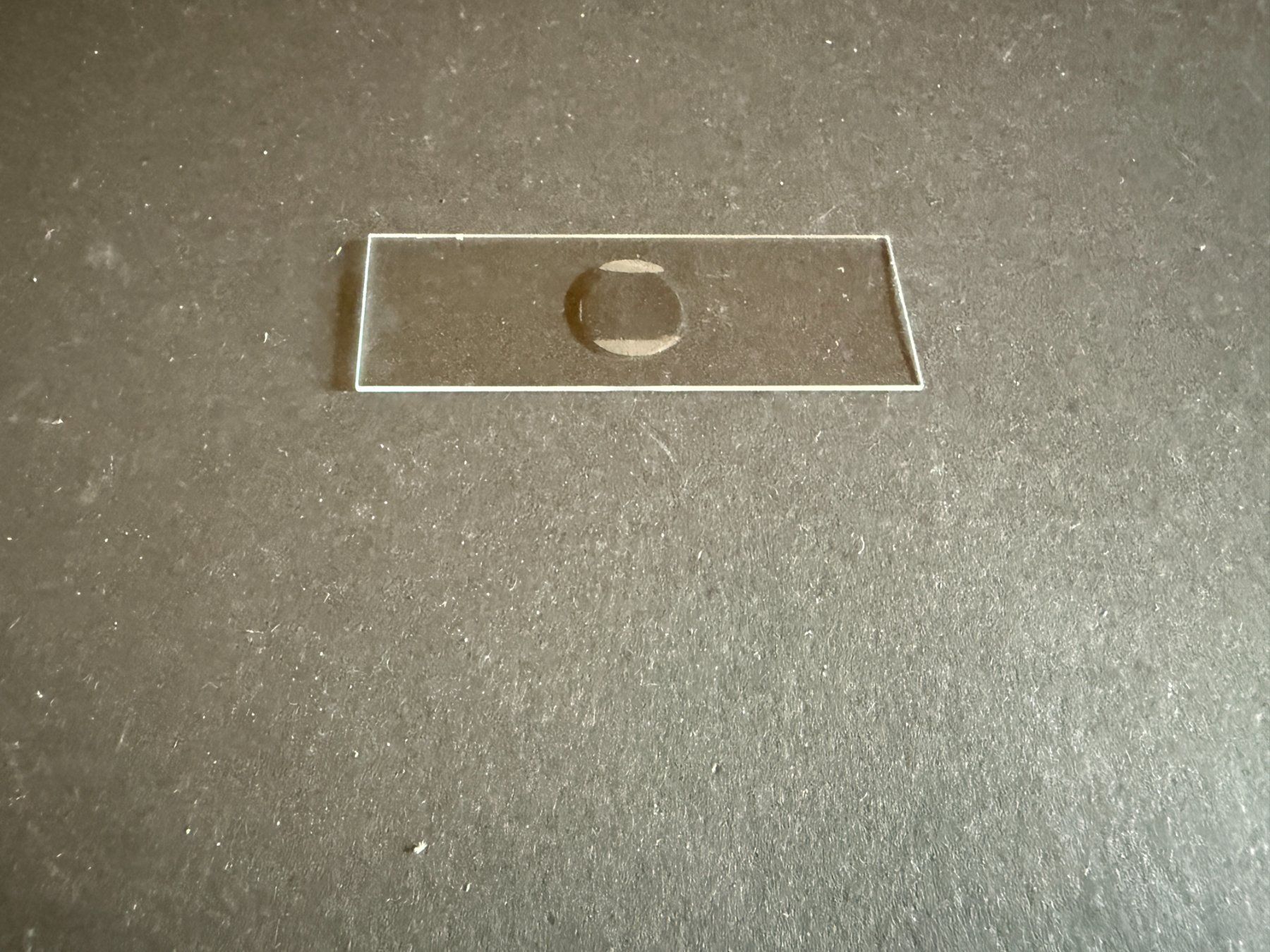 Bastelsets: Objektträger 76x26 mm, mit Vertiefung, neu – Neu und originalverpackt aus Lützelflüh-Goldb von Elementis 1