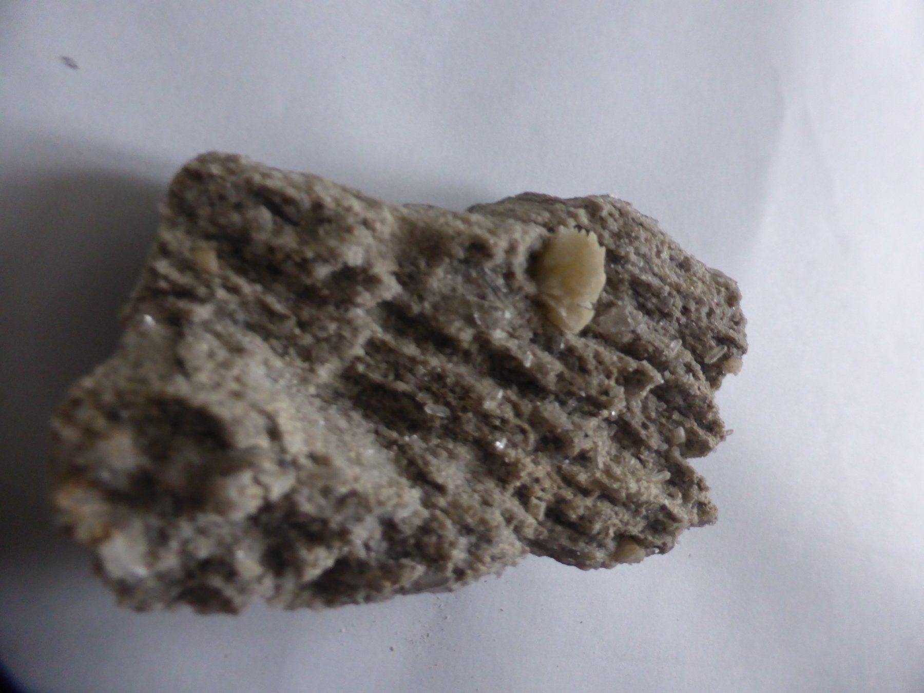 Mineralien & Heilsteine: Kristallstufe: Ankerit, Rutil, Adular bergfrisch! – Gebraucht aus Triengen von Nussbaum14 4