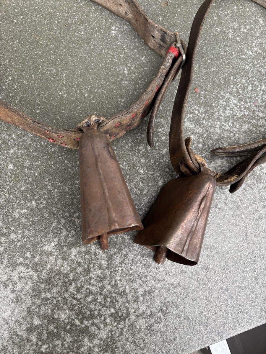 Campanacci mucche: Rindertreicheli – Usato da Schangnau venduto da Roseggli82 5