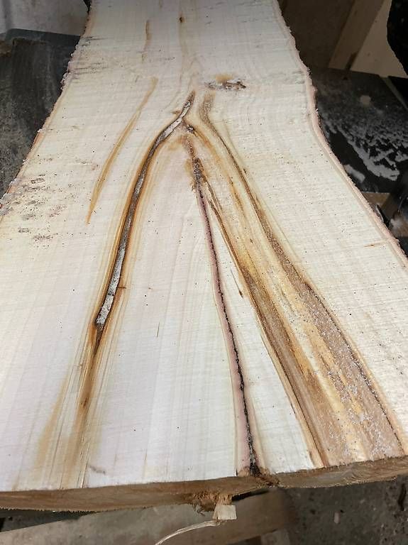 Articoli in legno: Drechselholz, Saalweide – Usato da Lupsingen venduto da kurrrti
