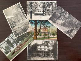 ST. GALLEN Im Stadtpark, Voliere und andere Partien, 6 AK