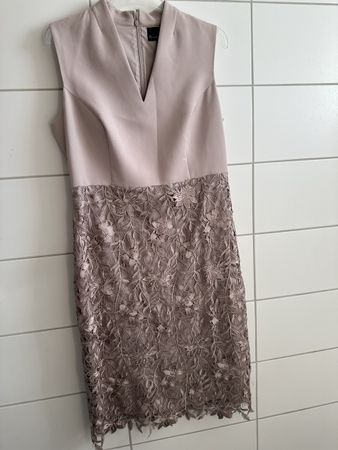 Damen Phase Eight Kleid Grösse/14