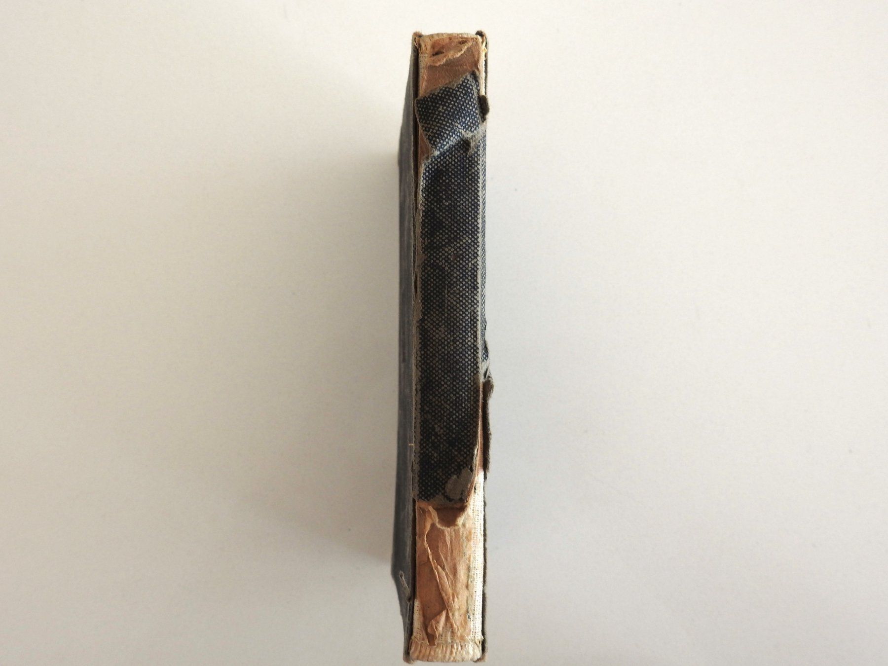 Libri: Neues Testament und Psalmen, 1929 – Usato da Büttenhardt venduto da LexyMara 8