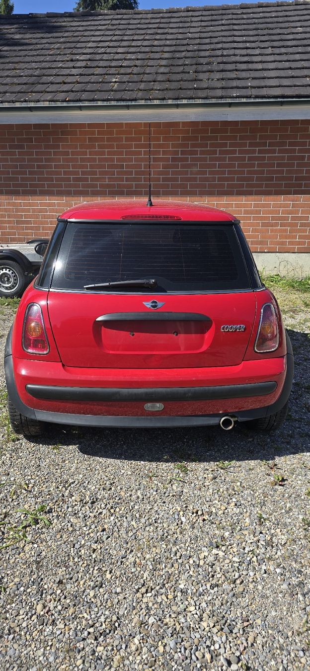 Mini Autos: mini cooper – D'occasion à Wil SG par tot_jl8b 5