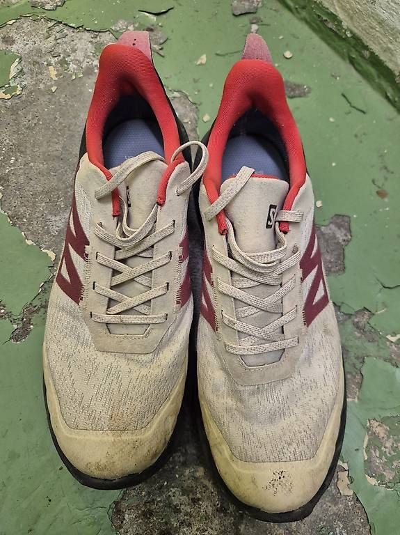 Herrenschuhe: Salomon Trekkingschuhe  Herren Gr43.5 – Gebraucht aus Liebefeld von marcoo91