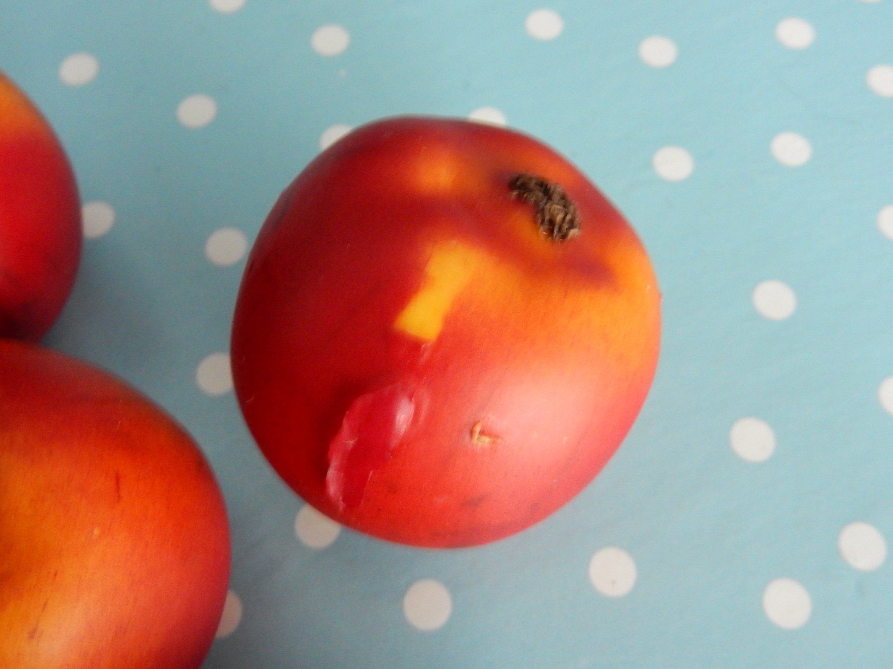 Tutte le decorazioni: Apfel: 6 rote Kunst-Äpfel, Herbstdeko, neuwertig – Usato da Jona venduto da simongarden 5