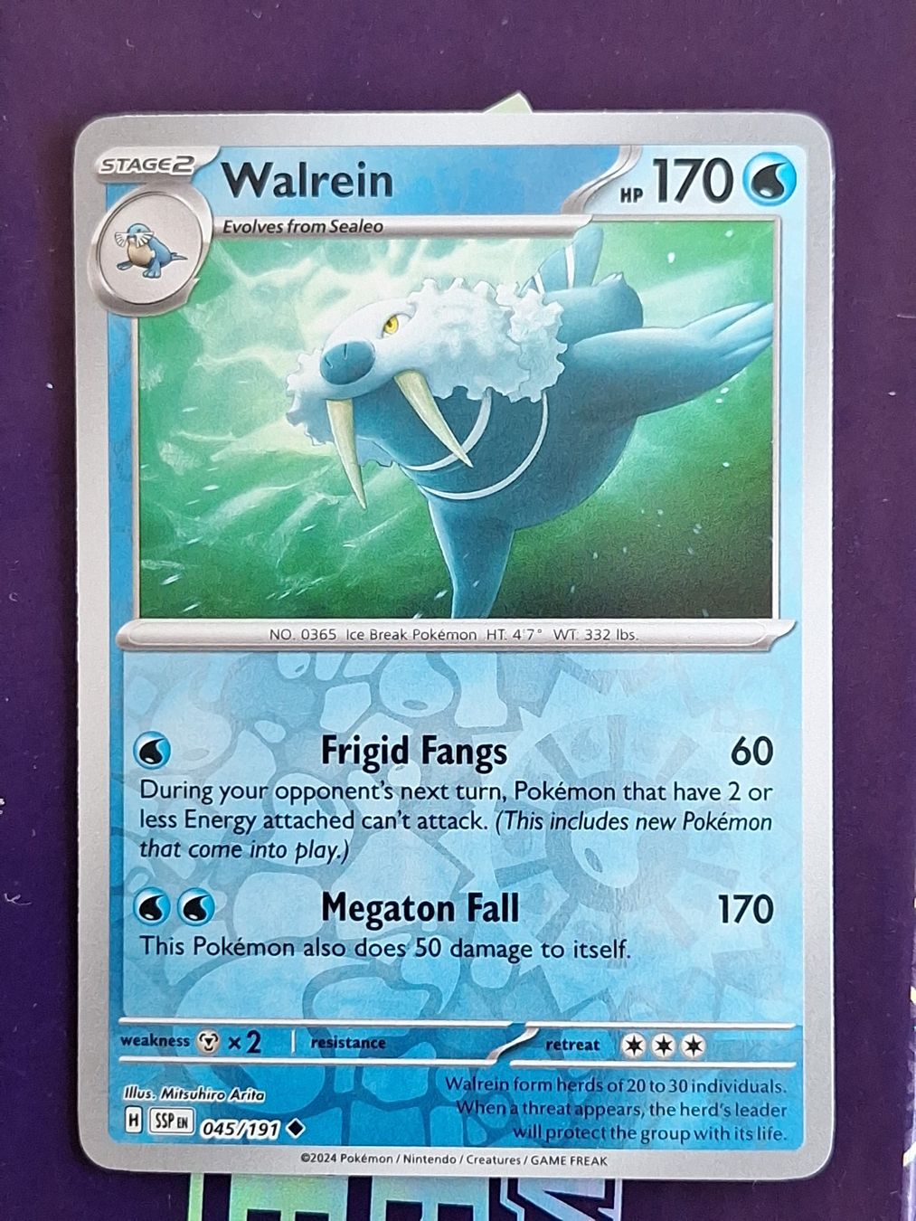 Pokémon Carte collezionabili: Walrein - Reverse Holo - Pokemon Surging Sparks – Usato da Altstätten SG venduto da GGsGameshop