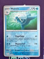 Walrein - Reverse Holo - Pokemon Surging Sparks
