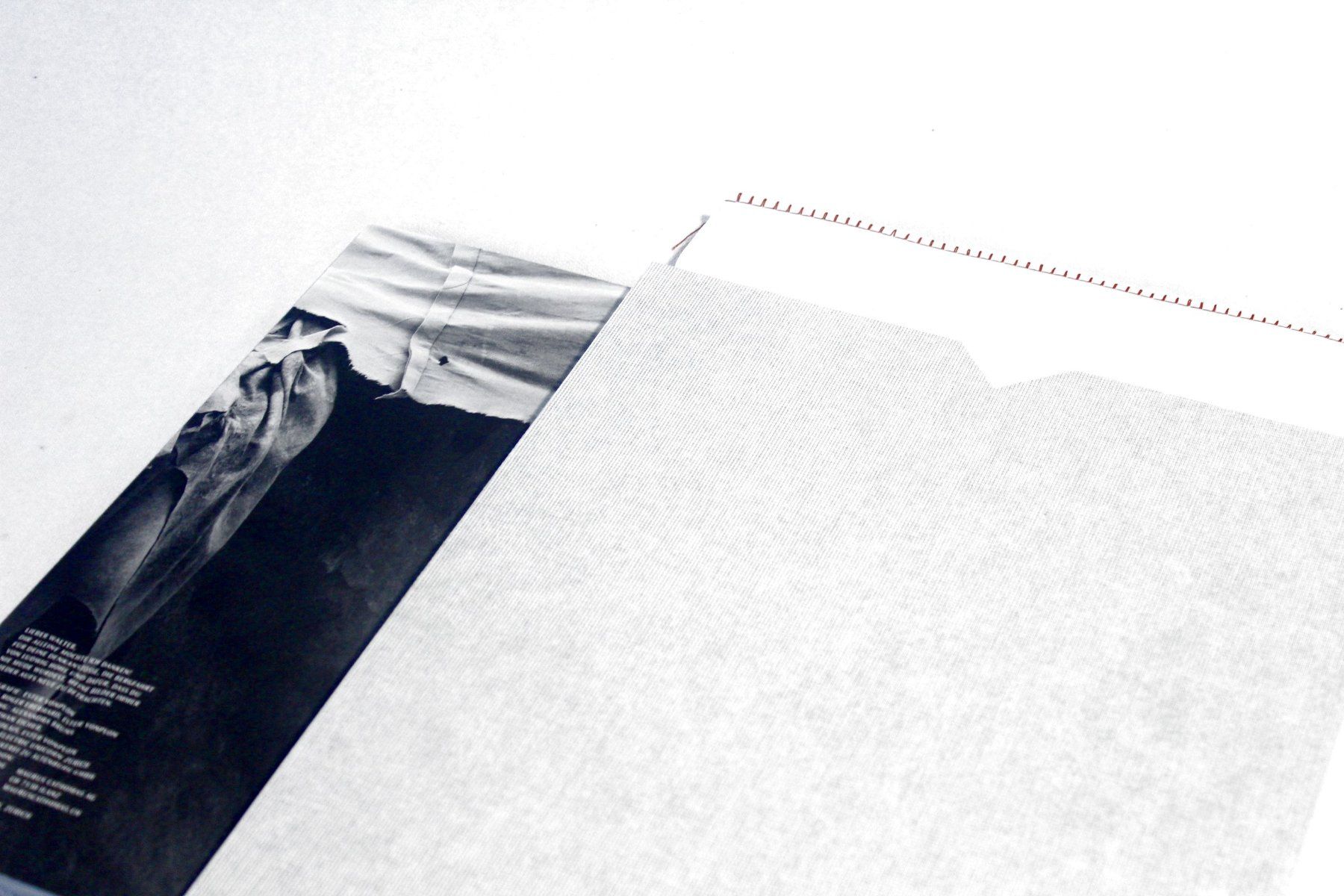 Dischi in vinile: STEPHAN EICHER & ESTER VONPLON: Gletschermilch, M/NM, lim. – Usato da Bern venduto da vinyl-heaven 8