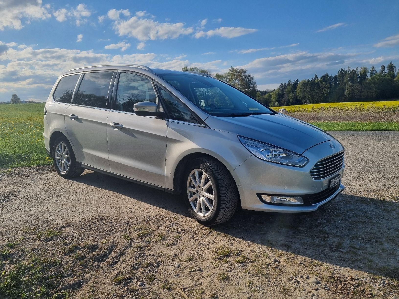 Ford Automobili: Ford Galaxy 2019 2.0 tdi – Usato da Tuttwil venduto da mon_5rrw 1