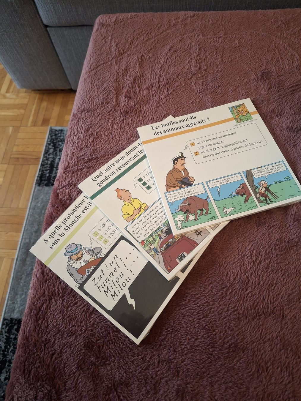 Fumetti: Fiches Tintin N°3 – Usato da Morges venduto da ProfesseurJones 2