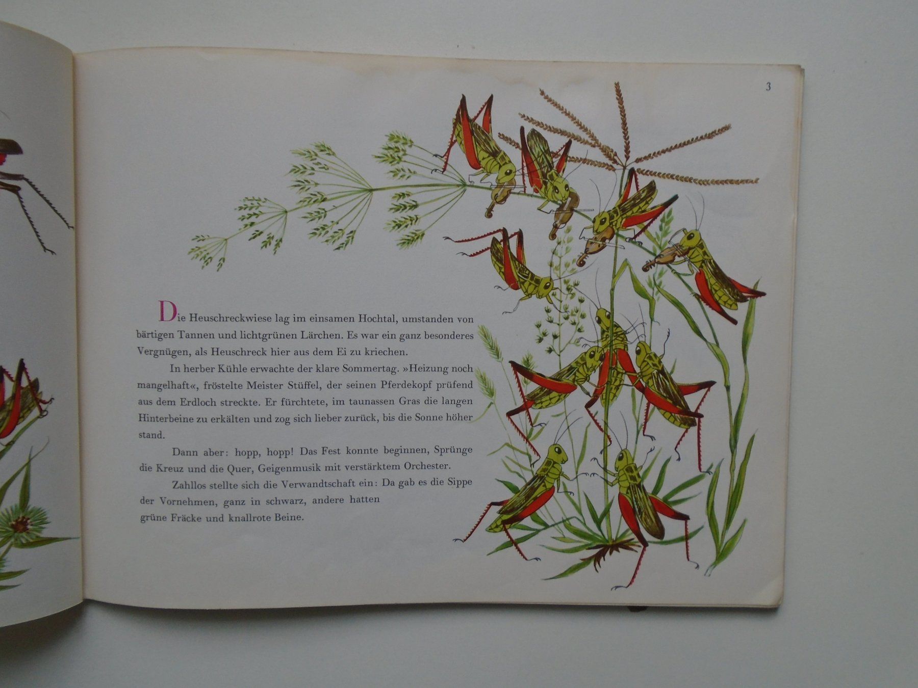 Bücher: Stüffels Abenteuer / P. Roshard - 1958/1966 – Gebraucht aus Pfeffingen von Intertandem 1