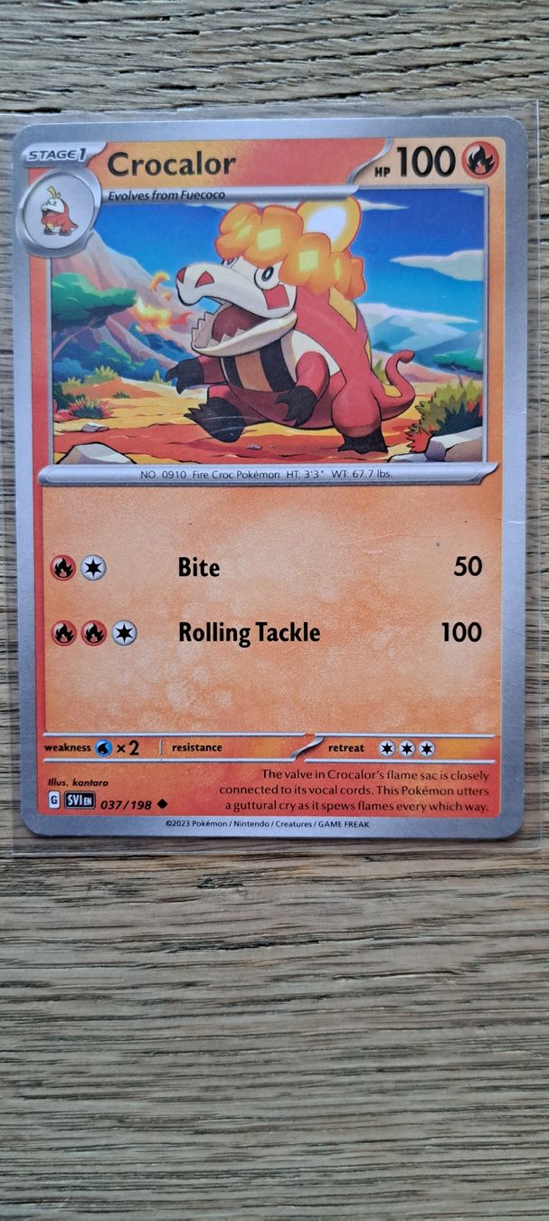 Pokémon Carte collezionabili: Crocalor EN - gutem Zustand! – Nuovo (secondo la descrizione) da Hofstatt venduto da Gajoe84