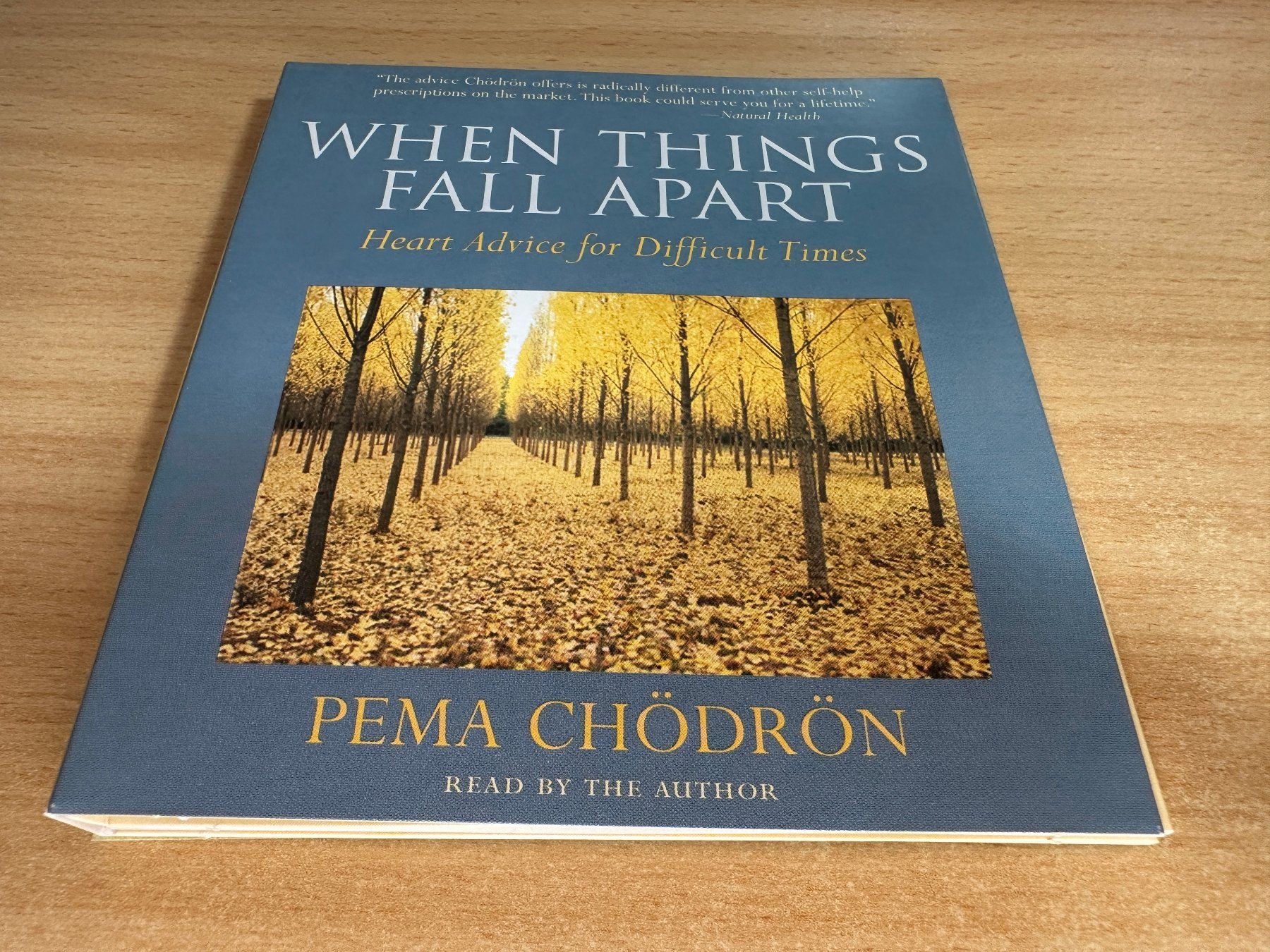 Audiolibri: Pema Chödrön When Things Fall Apart Heart Advice for Diffic – Usato da Rikon im Tösstal venduto da Alpenmutz 2