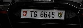 Exklusives Thurgauer Kontrollschild TG 6645
