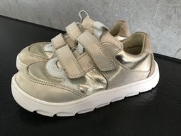 Sneakers Froddo