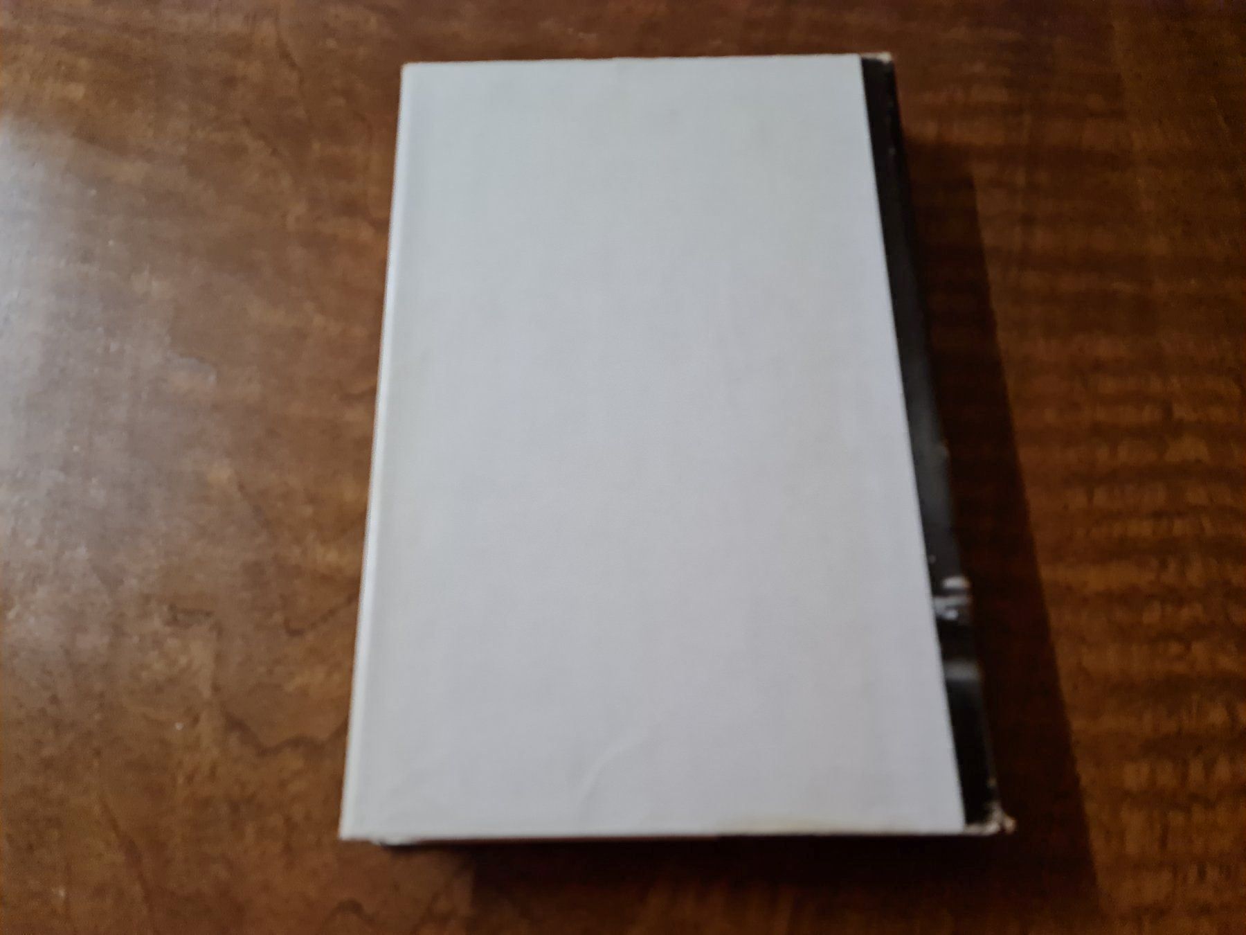Libri: Zone des Schweigens – Usato da Erstfeld venduto da Mario_boe0 2