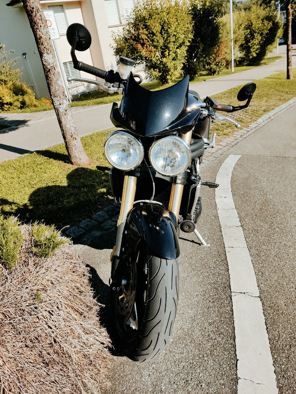 Triumph Strada: Triumph Speed Triple – Usato da Abtwil SG venduto da sam_5b7q 3