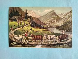 AI Appenzell Alpfahrt Kühe Bauern
