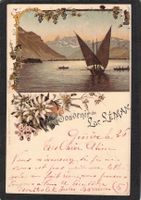 ^Lithografie Souvenir  du Lac Léman , gel. 1903