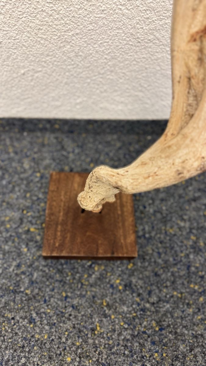 Tutte le decorazioni: Holz Deko – Nuovo (secondo la descrizione) da Uster venduto da AliciaMiller 1