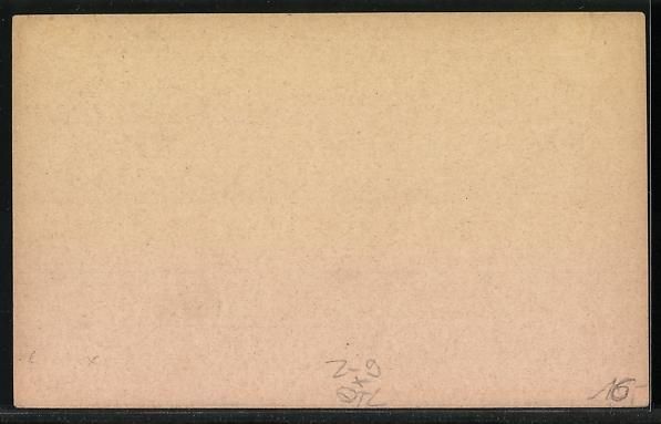 Cartoline postali: Mainz, Privat-Brief-Beförderung, Ganzsa – Usato da Berlin venduto da bartko-reher 1