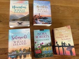5x Roman, Bücherpaket