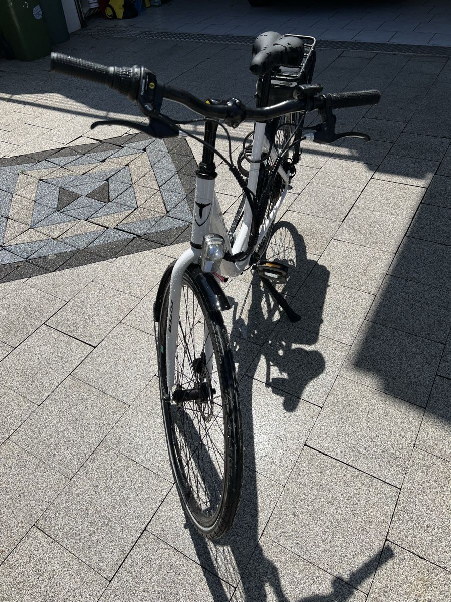 Totem Velos: TOP gepflegtes TOTEM ROXY Damen E-Bike – Gebraucht aus Fislisbach von ste_9yk7 2