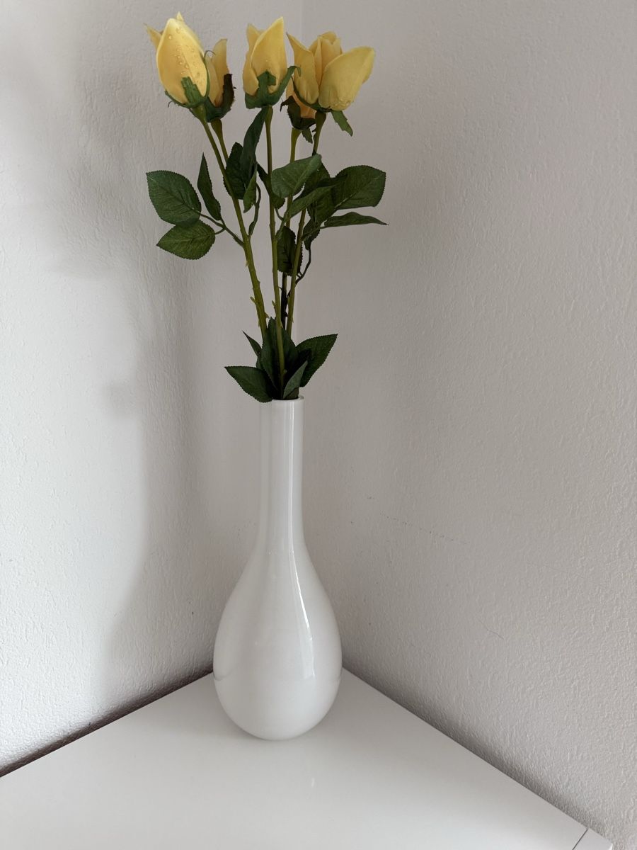 Vasen & Gefässe: Vase ohne Blumen – Gebraucht aus Gossau SG von cuk_fyc6