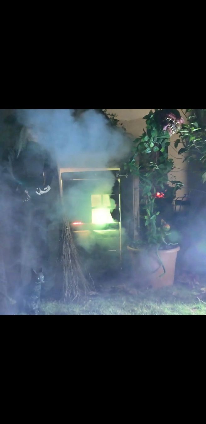 Alle Dekorationen: HALLOWEEN/ HORROR FLEISCHFRESSENDE PFLANZE – Neu und originalverpackt aus Root von LifestyleAccessoires 4