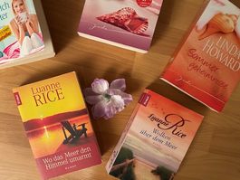 Carly Phillips, Linda Howard, Luanne Rice, Janelle Denison..