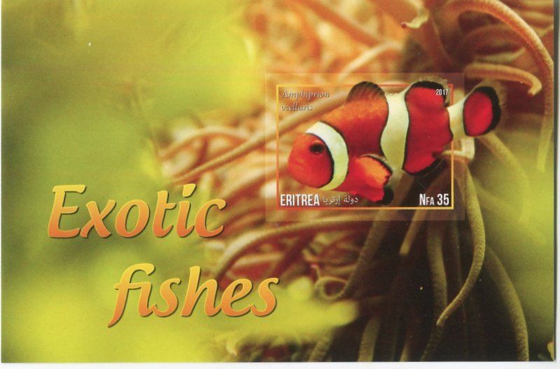 Tutti i francobolli: Block "Fische". Eritrea. – Nuovo e nell'imballaggio originale da Basel venduto da Butsch5