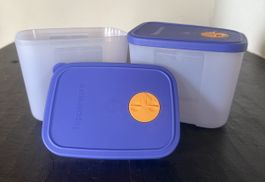 Tupperware Gefrierbehälter