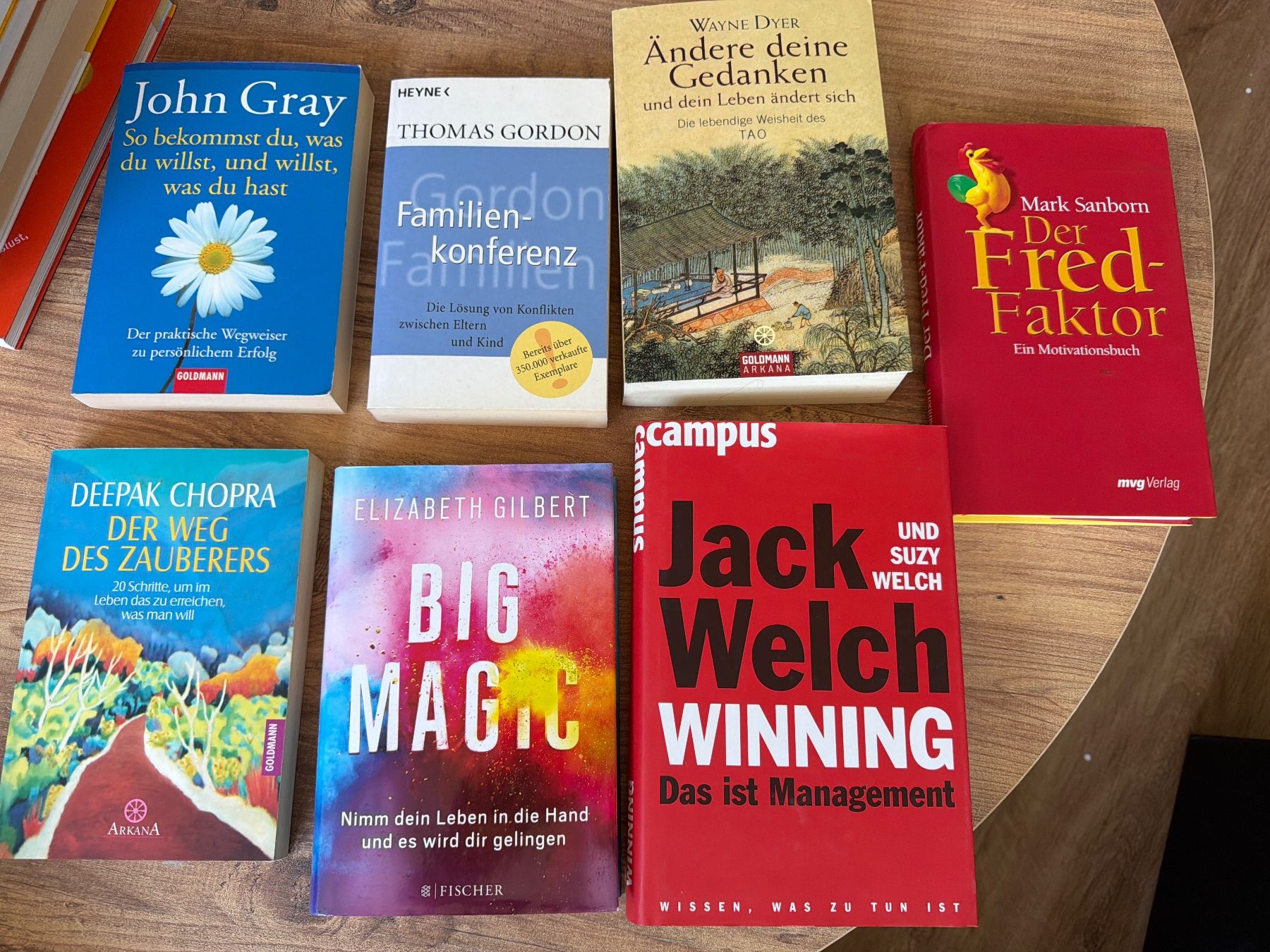 Libri: 7 Bücher Elisabeth Gilbert, Mark Sanborn, Jack Welch, Deepak – Usato da Nussbaumen AG venduto da normajeanbaker