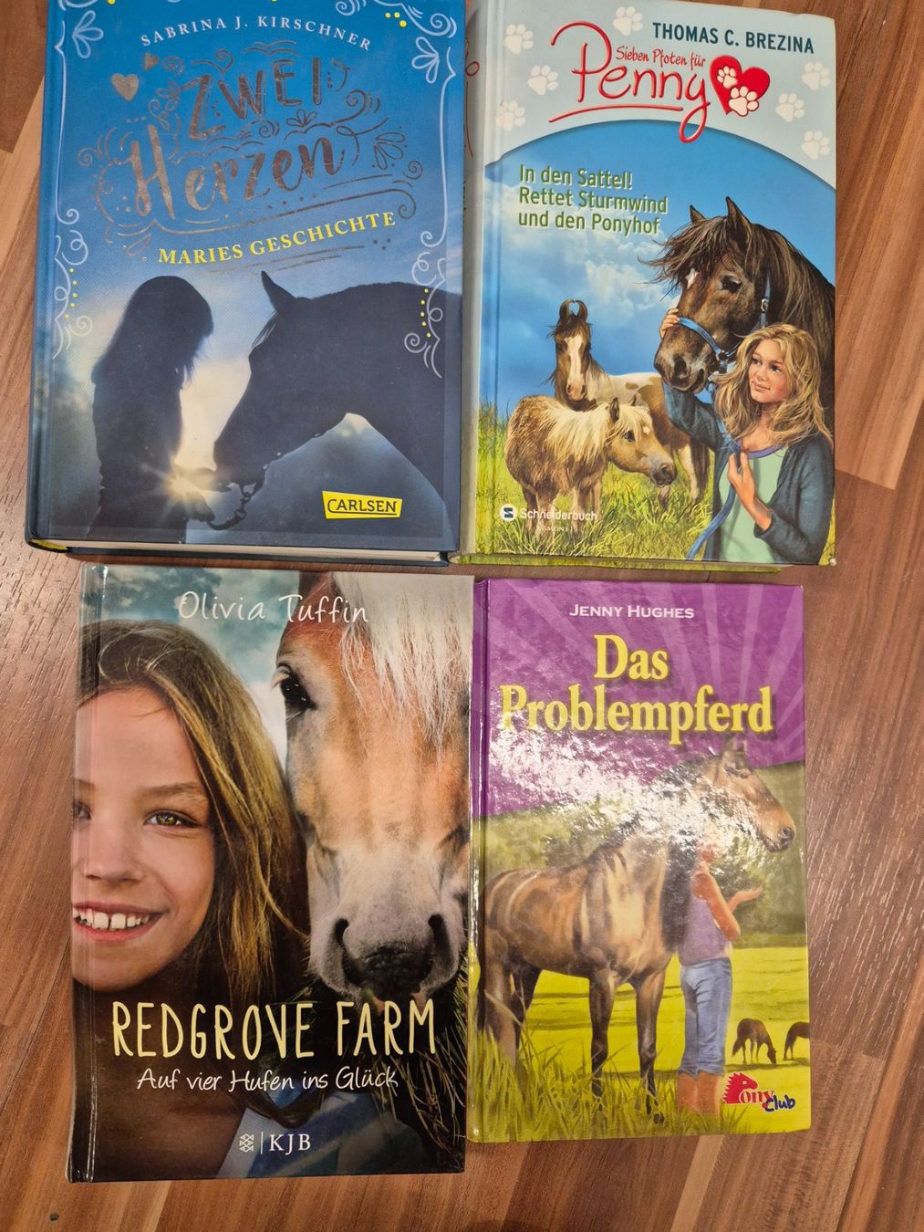 Libri: 4 Pferdebücher L20 – Usato da Schwarzenburg venduto da Flamingo07