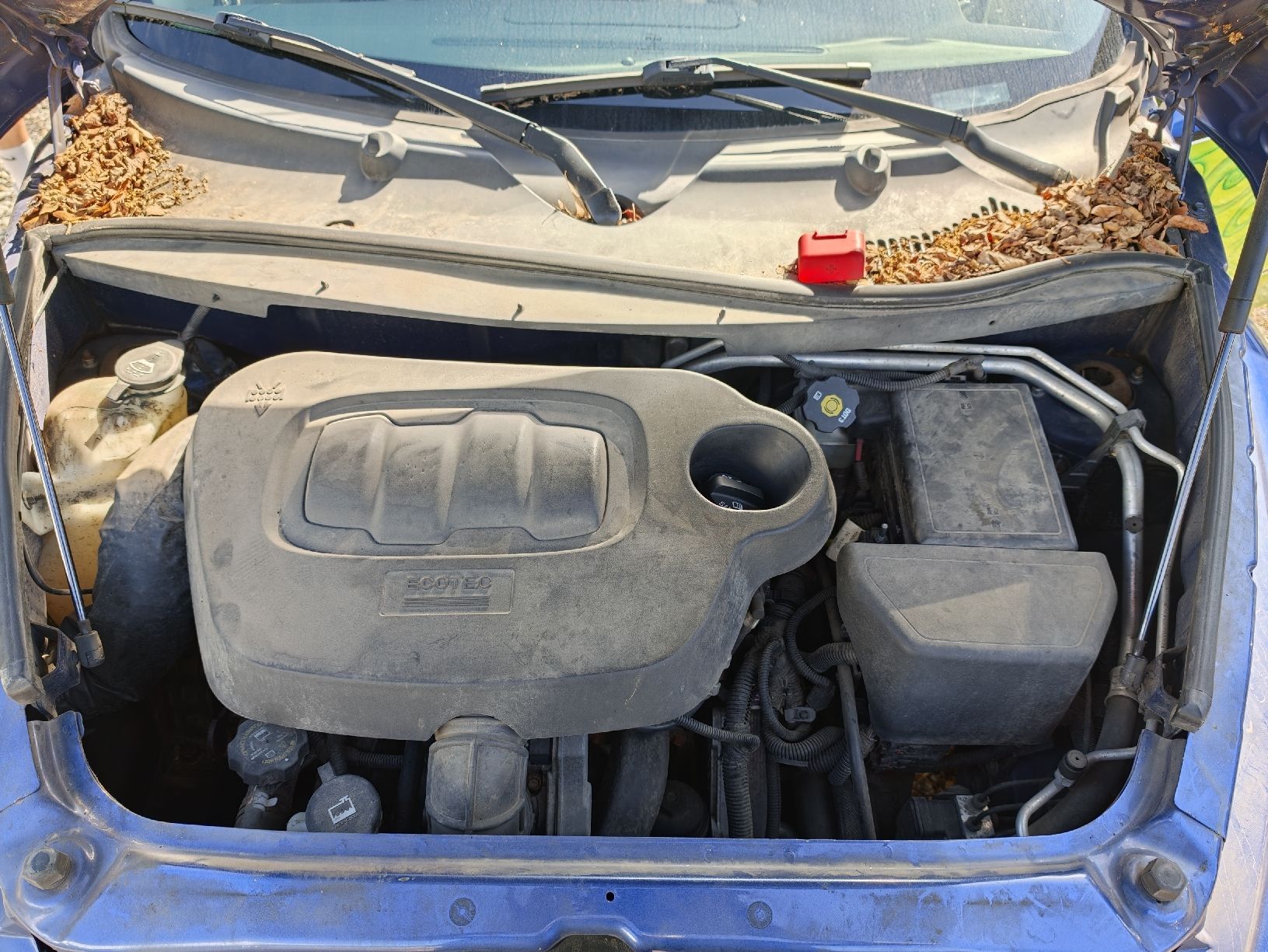 Chevrolet Automobili: Chevrolet HHR – Usato da Cadenazzo venduto da LuismacchineSagl 4