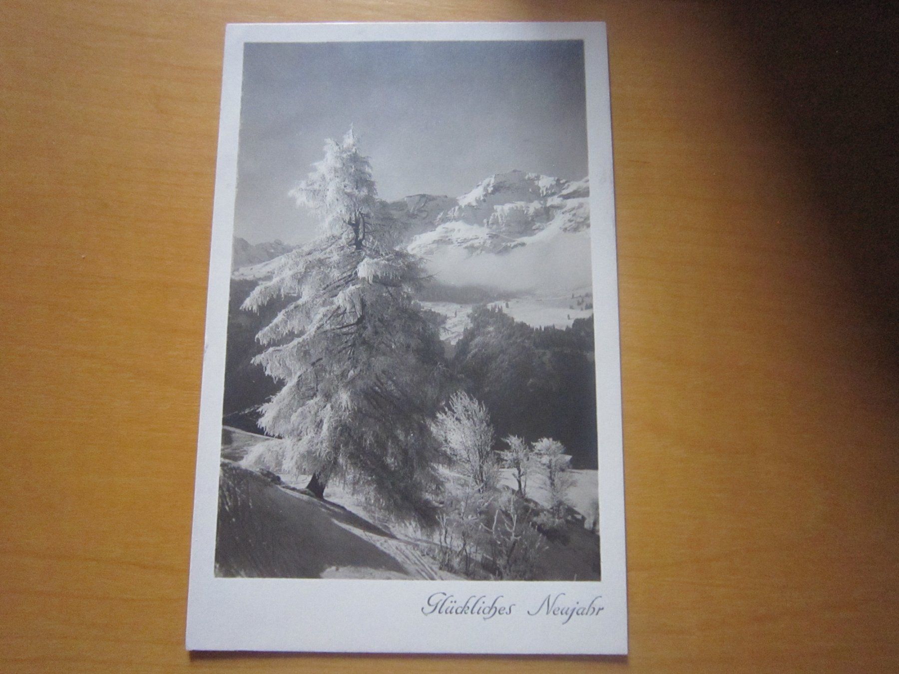 Tutti i francobolli: PJ 1924 Solothurn auf Postkarte – Usato da Gordola venduto da Polentaefung 3