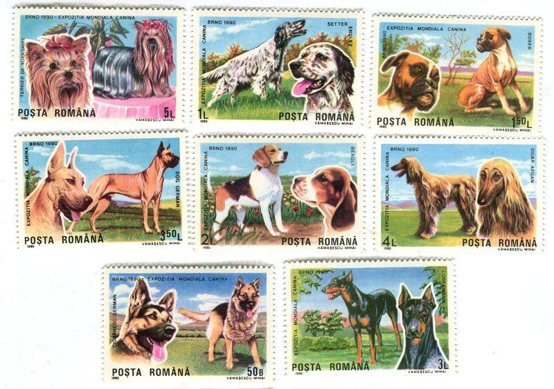 Tutti i francobolli: Briefmarken "Hunde". Rumänien – Nuovo e nell'imballaggio originale da Basel venduto da Butsch5