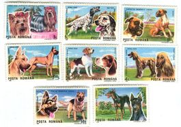 Briefmarken "Hunde". Rumänien