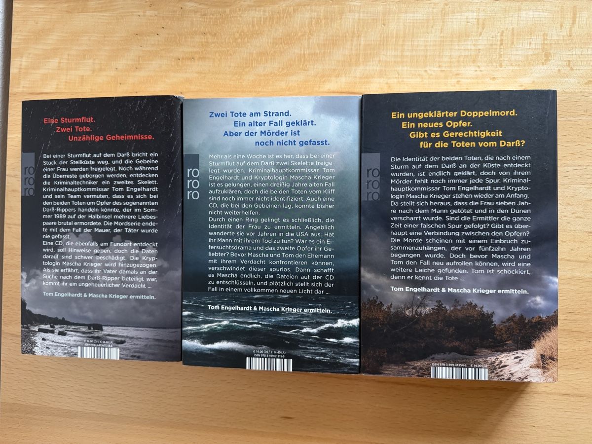Bücher: Der Sturm Trilogie - Karen Sander – Gebraucht aus Schwarzenburg von Michellu 1