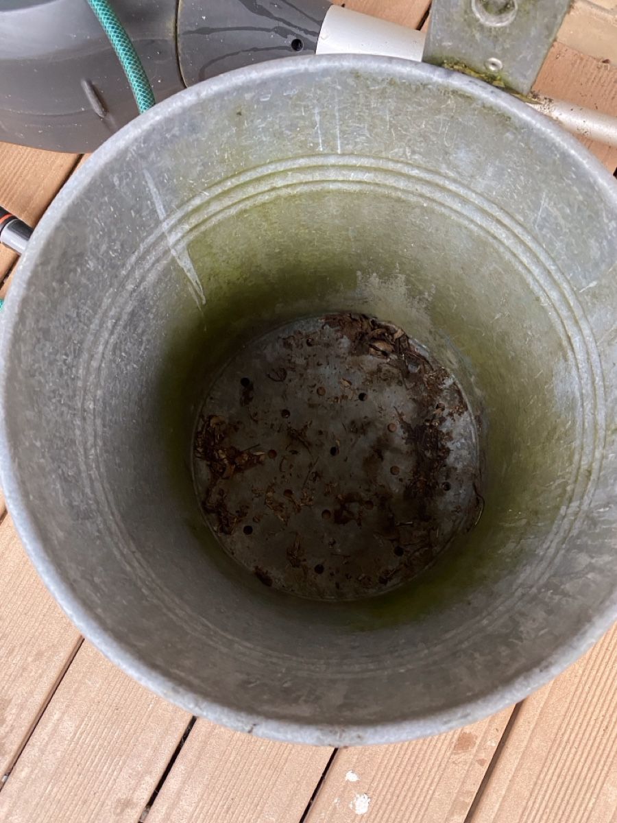 Cestini per rifiuti: Abfalleimer Wandmontage – Usato da Tafers venduto da Piscu90 2