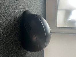 Reithelm, Schwarz,  Größe xs/ s