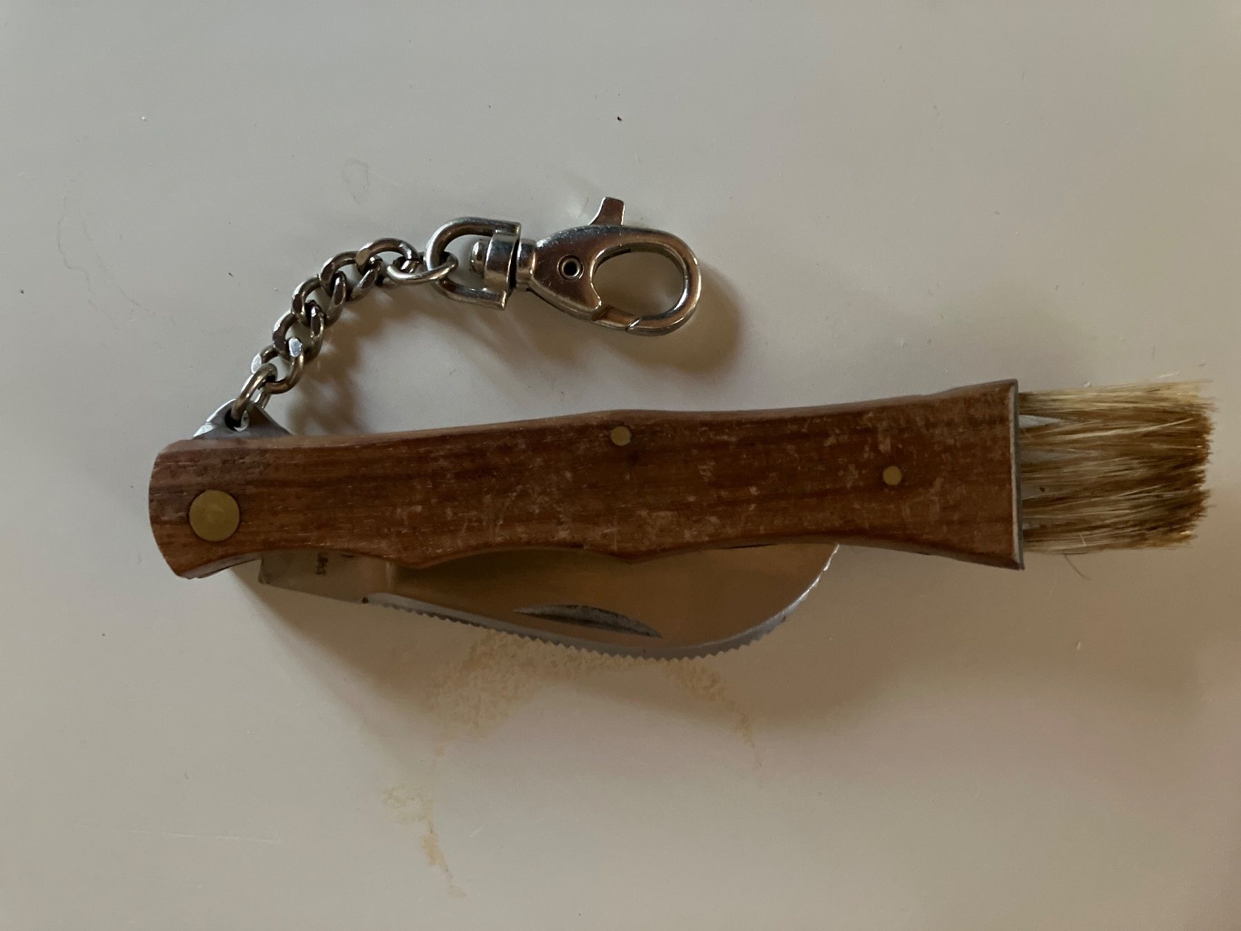 Accessoires: Pilzpfückmesser – D'occasion à Cunter par Bicasi58 4