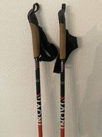 Bâtons de ski de fond