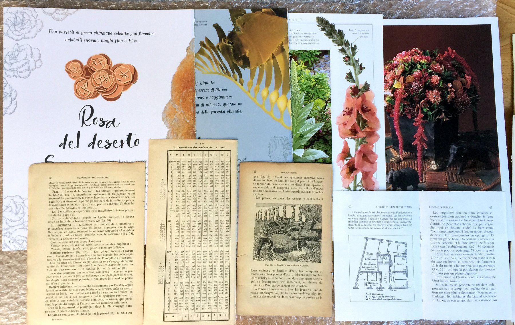 Bücher: ephemera 9/papier collage bastelpapier scrapbooking +Versand – Gebraucht aus Pully von websurfer1 4
