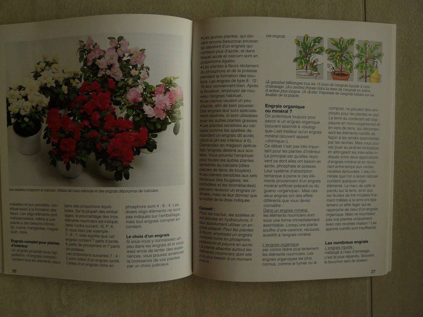 Libri: Plantes d'intérieur Hachette – Nuovo (secondo la descrizione) da ERLINSBACH venduto da doudouce 2