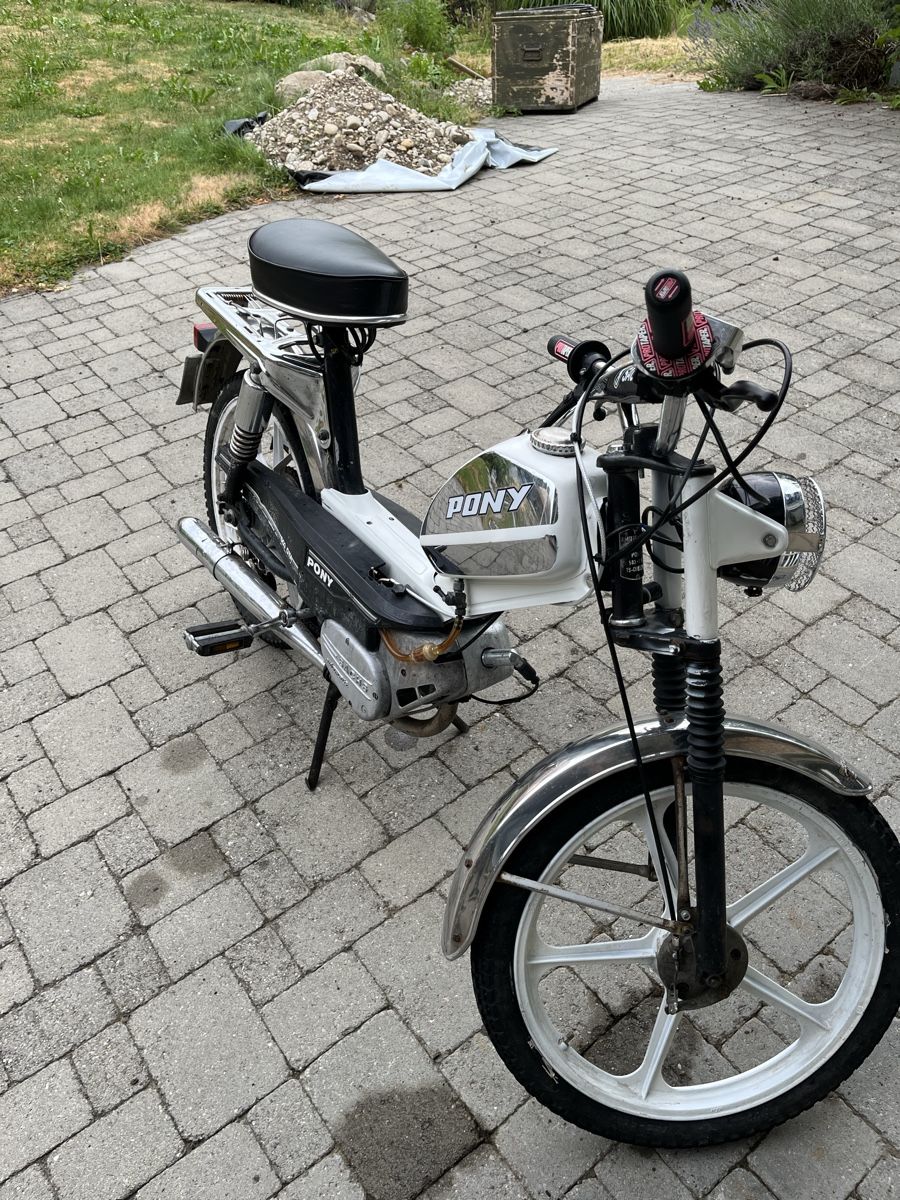 Sachs Ciclomotori: Pony GTA 503 mit Ausweis  – Usato da Ranflüh venduto da Gerhard07 3