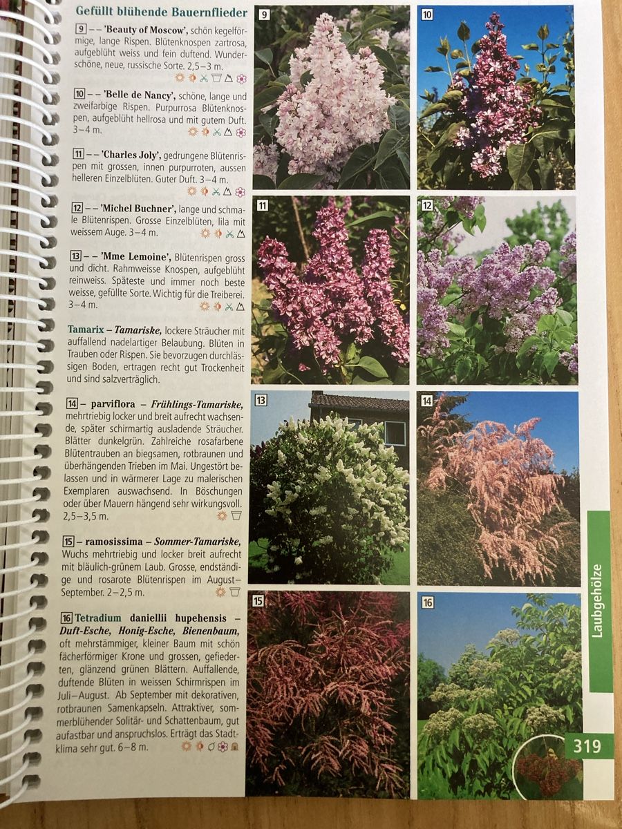 Bücher: Pflanzenbuch Neu Hauenstein – Neu und originalverpackt aus Aarwangen von to-hirschi 2