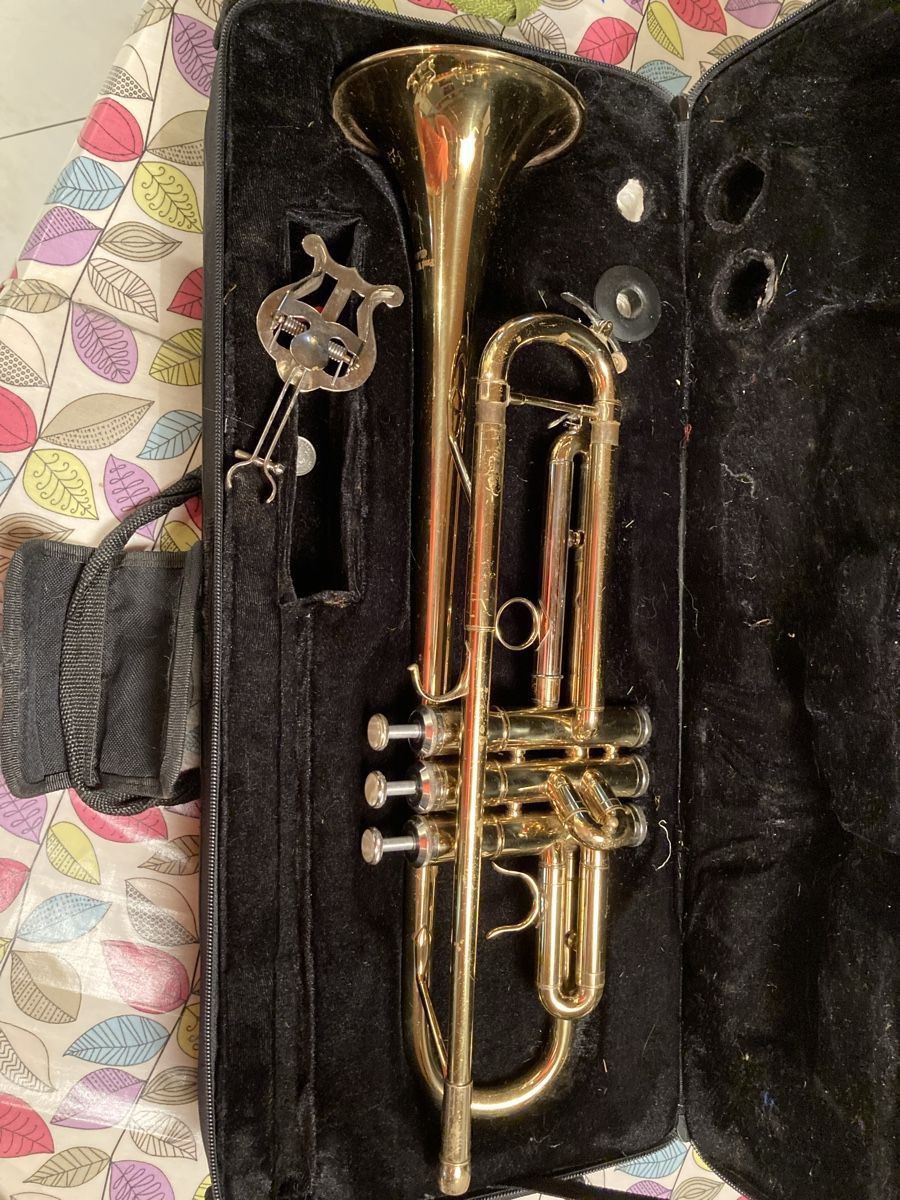 Instruments de musique: Tromba fred williams usata – D'occasion à Bodio par ste_wg29 1
